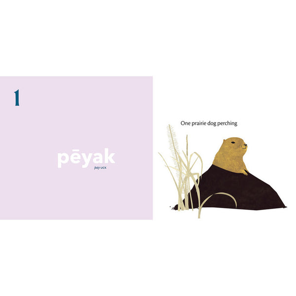 Native Northwest We All Count: A Book of Cree Numbers