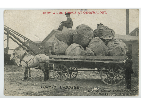 RMG Post Cards