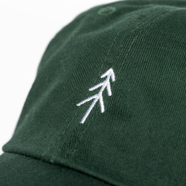 Spruce Cap