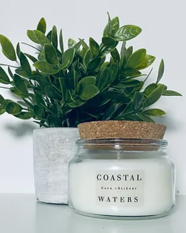 SLFLV and Co. Coastal Waters Candle