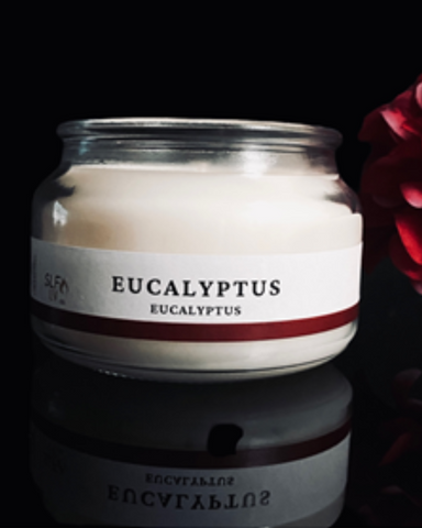 SLFLV and Co. Eucalyptus Candle