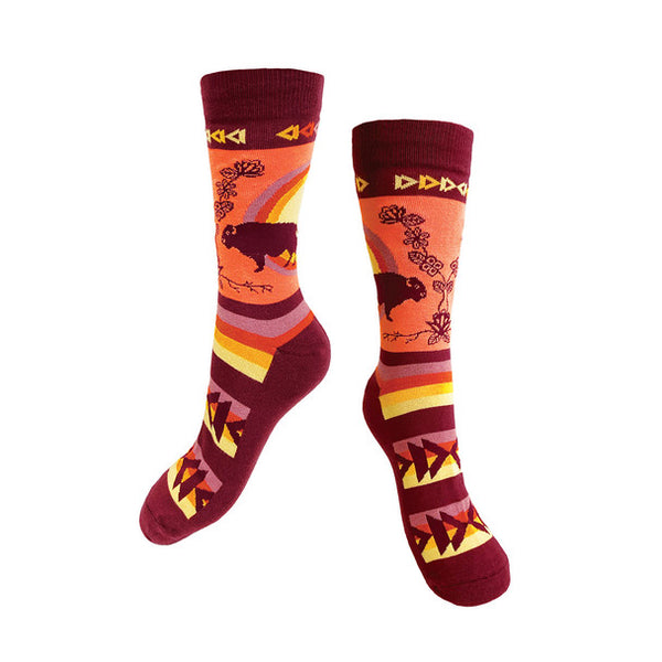 Native Northwest Art Socks